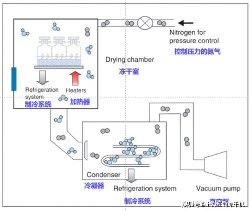 藥品凍干機(jī)工作原理及凍干設(shè)備價格