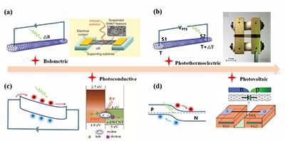 北大彭練矛 王勝 碳納米管薄膜光探測器最新進(jìn)展及光電集成應(yīng)用